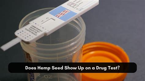 will hemp seed test positive